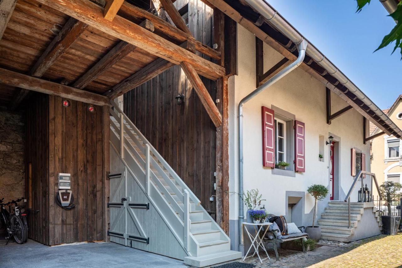 Kleiner Hof Rosenrot Apartment Endingen am Kaiserstuhl Luaran gambar